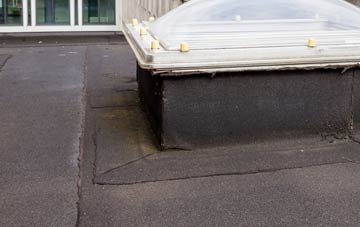 disadvantages of Bushmills flat roofs